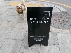 양생세미나 - 백승희님2-1.jpg